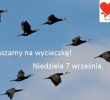 Wycieczka na ptaki nad Stawy Raszyńskie – 14.09.2014