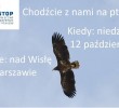 Wycieczka ornitologiczna z Robertem Miciałkiewiczem nad Wisłę 12.10.2014