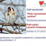 Na ptaki do Łazienek! Pierwsza z cyklu wycieczek „Ptaki warszawskich parków” – sobota 31 stycznia 2015 r.!