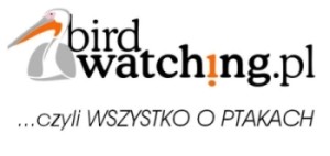BirdWatchingPL_bannerek