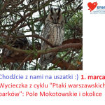 Wycieczka na uszatki – Pola Mokotowskie i cmentarz radziecki (cykl „Ptaki warszawskich parków”) w niedzielę 1. marca