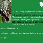 Szkolenie: Terenowe metody badań ptaków oraz biologia i ekologia dzięciołów
