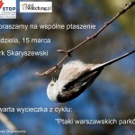 Czwarta wycieczka z cyklu „Ptaki warszawskich parków”: park Skaryszewski, niedziela, 15 marca – zapraszamy!