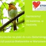 Wycieczka na ptaki do miniaturowej puszczy Białowieskiej w Warszawie