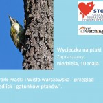 Wycieczka: „Park Praski i Wisła warszawska – przegląd siedlisk i gatunków ptaków” – zapraszamy 10.05.2015!