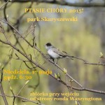 Ptasie Chóry w Parku Skaryszewskim – 17.05.2015