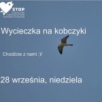 Wycieczka na sokoły – Laszczki pod Warszawą – 28.09.2014r.