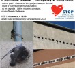 O ochronie ptaków i nietoperzy w budynkach na spotkaniu STOPu 4.06.2014