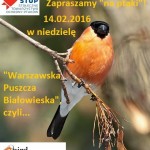Zapraszamy na wycieczkę „Ptaki warszawskiej Puszczy Białowieskiej”, z przewodnikiem, 14.02.2016