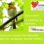 Wycieczka na ptaki – Las Młociński i okolice (niedziela 3.04.2016)