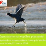 Wycieczka do Modlina na ptaki – sobota, 12.03.2016, Ptasi Wieczór – 11.03.2016