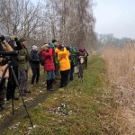 Relacja z wycieczki „na ptaki” w okolice Stawów Raszyńskich (27.02.2016)