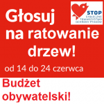 Głosujcie na ochronę drzew! TERAZ jedno kliknięcie może wiele (budżet obywatelski Warszawy)