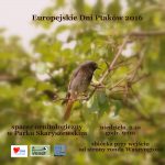 EDP 2016 – spacer ornitologiczny w Parku Skaryszewskim