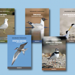 Sześć monografii: „Kluczowe gatunki ptaków siewkowych na środkowej Wiśle: biologia, ekologia, ochrona i występowanie”