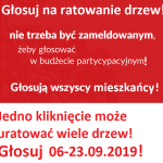 Głosujcie na ochronę drzew przed piłą i ptaków przed zabijaniem się o szyby – budżet obywatelski Warszawy (głosowanie: 06.-23.09.2019)