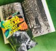 Książka „Trzy żywioły” przyrodniczki Simony Kossak