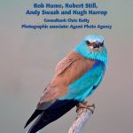 „Ptaki Europy „Przewodnik do rozpoznawania” – obszerny przewodnik fotograficzny nareszcie po polsku