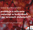 Gdzie dla Was zrobić bezpłatne prelekcje o ochronie ptaków i nietoperzy w budynkach i zwierząt związanych z terenami zielonymi?